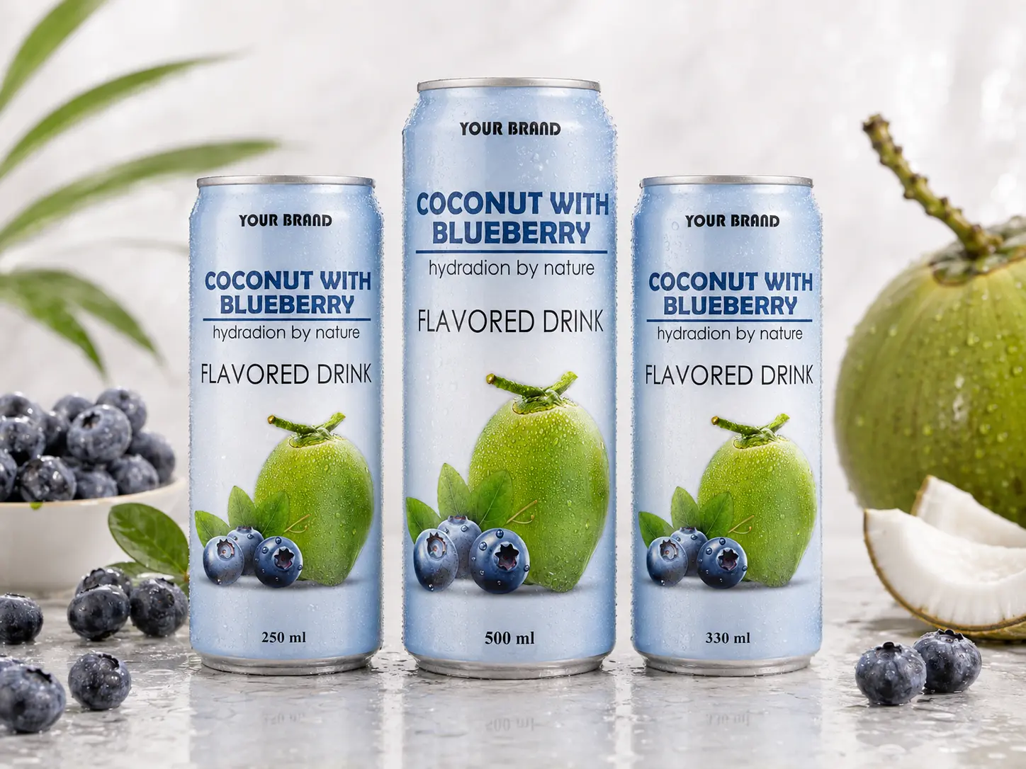 COCONUT FLAVORED DRINK blueberry flavour shown in 250ml, 500ml, and 330ml cans.